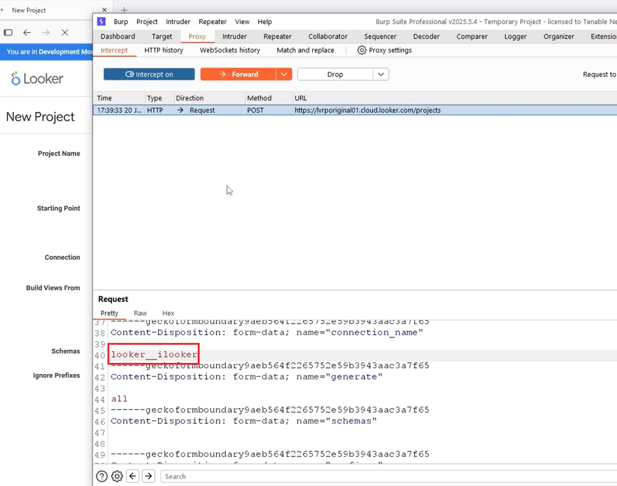 Looker internal database breach